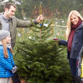 Expert urges 35p vinegar Christmas hack as trees could pose serious health risk to children