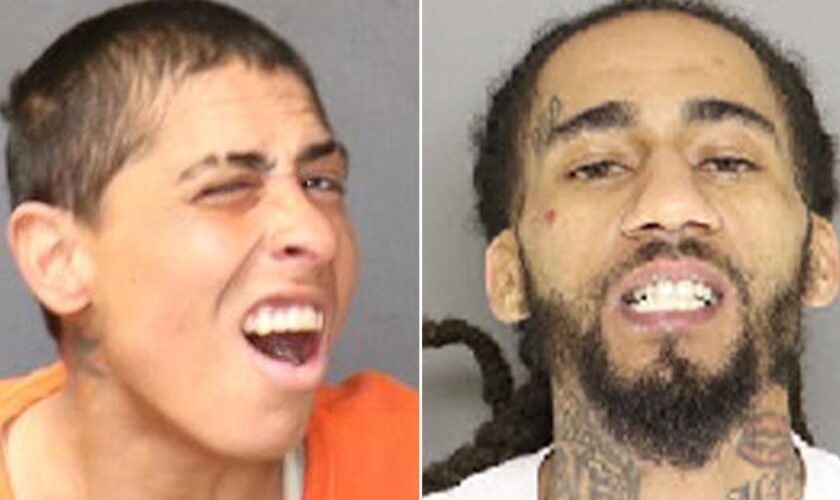 Mugshots of the week: Dec. 8-14, 2024