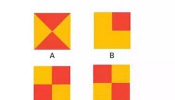 Hardly anyone can guess the next image in this puzzle - but it's very easy