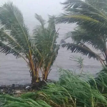 «On a très peur» : à Mayotte, en alerte violette, les habitants barricadés affrontent ce samedi le cyclone Chido