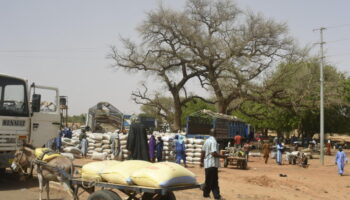 Au Niger, 39 villageois "assassinés" dans une double attaque près du Burkina Faso