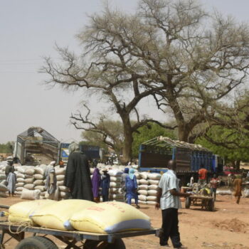 Au Niger, 39 villageois "assassinés" dans une double attaque près du Burkina Faso