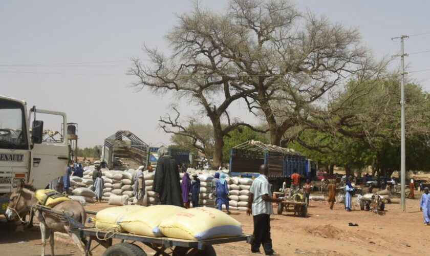 Au Niger, 39 villageois "assassinés" dans une double attaque près du Burkina Faso