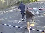 Hair-raising near-misses at Britain's level crossings caught on camera: Foolish dog walkers and idiotic cyclists seen moments from death in CCTV footage