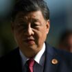 Le président chinois Xi Jinping, le 18 novembre 2024 à Rio de Janeiro