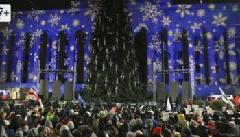 Demonstrationen in Georgien: Kein Glanz für Kandidat und Baum