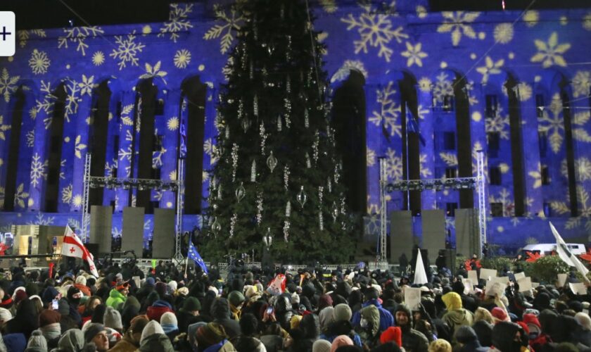 Demonstrationen in Georgien: Kein Glanz für Kandidat und Baum