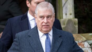 Tories under fire as questions asked over 'Chinese spy' linked to Prince Andrew