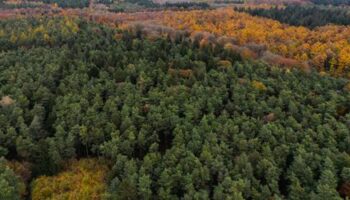 Bürgerentscheid in Kleve: NRW bekommt keinen zweiten Nationalpark