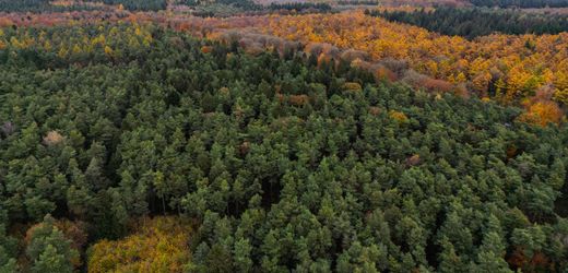 Bürgerentscheid in Kleve: NRW bekommt keinen zweiten Nationalpark