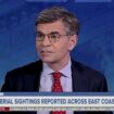 George Stephanopoulos doesn't mention ABC News settlement with Trump's defamation lawsuit on his Sunday show