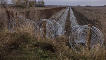 Russian paramilitary soldiers killed in friendly fire attack by North Koreans after enlisting DPRK help