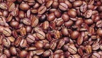 Only those with eyes of a sniper can find hidden man among the coffee beans in 10 seconds