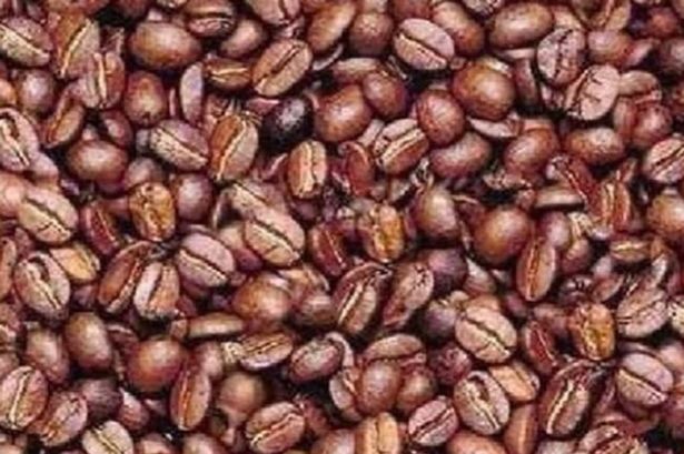 Only those with eyes of a sniper can find hidden man among the coffee beans in 10 seconds