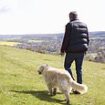 Fury as it's revealed taxpayers forked out £5,000 for Welsh government report calling for dogs to be banned from countryside to make it less racist