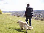 Fury as it's revealed taxpayers forked out £5,000 for Welsh government report calling for dogs to be banned from countryside to make it less racist