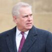 Identifying Chinese spy with alleged links to Prince Andrew 'matter for courts'