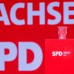 Logo von sächsischer SPD