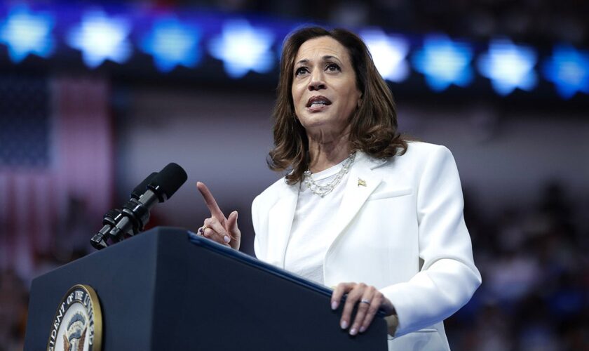 Kamala Harris aide admits Democrats 'losing hold of culture' as influencer media shifts right