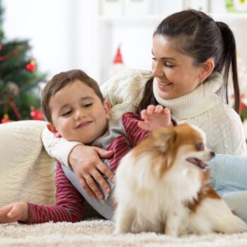 The most important things to know before getting a puppy this Christmas