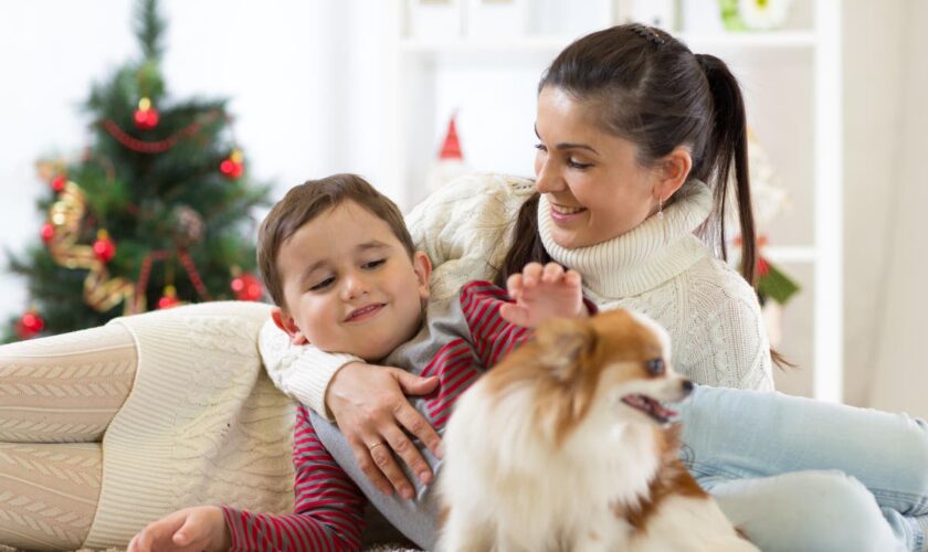 The most important things to know before getting a puppy this Christmas