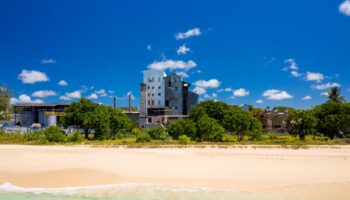 Aux origines du rhum dans les distilleries de La Barbade