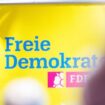 FDP-ENtwurf fürs Wahlprogramm: Massive Steuersenkungen und die Schuldenbremse einhalten