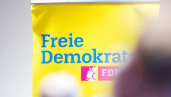 FDP-ENtwurf fürs Wahlprogramm: Massive Steuersenkungen und die Schuldenbremse einhalten