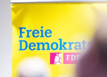 FDP-ENtwurf fürs Wahlprogramm: Massive Steuersenkungen und die Schuldenbremse einhalten