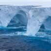 Größter Eisberg der Welt A23a setzt sich in Bewegung