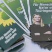 F.A.Z. Frühdenker: Was Union, SPD und Grüne in ihren Wahlprogrammen versprechen