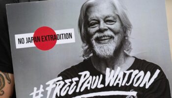 Paul Watson ne sera pas extradé par le Danemark, le fondateur de Sea Sheperd bientôt libéré