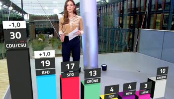 RTL/ntv-Trendbarometer: Union verliert, AfD legt zu – auch Merz und Scholz büßen ein