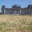 Réchauffement climatique : l’Allemagne a connu en 2024 l’année la plus chaude jamais enregistrée