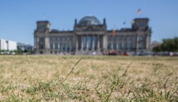 Réchauffement climatique : l’Allemagne a connu en 2024 l’année la plus chaude jamais enregistrée