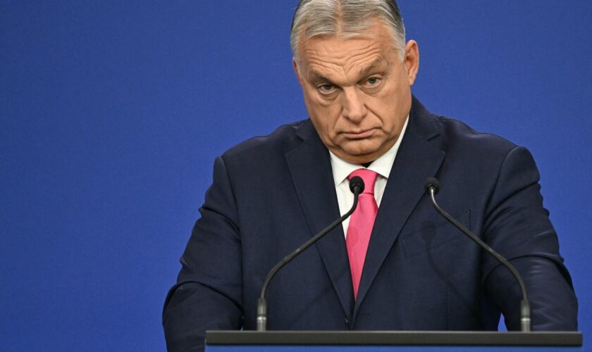 Demokratie: Orbán profitiert von neuer Wahlreform in Ungarn