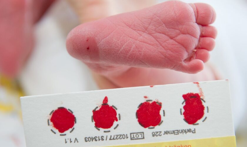 Ein Bluttropfen vom Fuß eines Babys genügt, um viele Krankheit zu erkennen. (Archivbild) Foto: picture alliance / Stefan Sauer/d