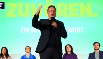 Liveblog zur Bundestagswahl: Habeck erteilt TV-Duell mit Weidel eine Absage