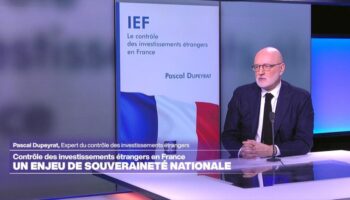 Contrôle des investissements étrangers en France : un enjeu de souveraineté nationale