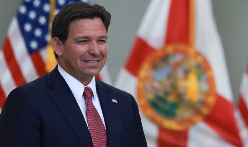 DeSantis slams 'false media narratives' on illegal immigration response as report shows Florida's economy grew