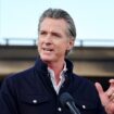 Governor Newsom declares state of emergency in California due to bird flu