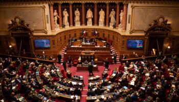 Le Parlement adopte définitivement la loi spéciale pour pallier l’absence de budget pour 2025