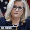 Liveblog zur US-Wahl 2024: Trump droht republikanischer Widersacherin Cheney