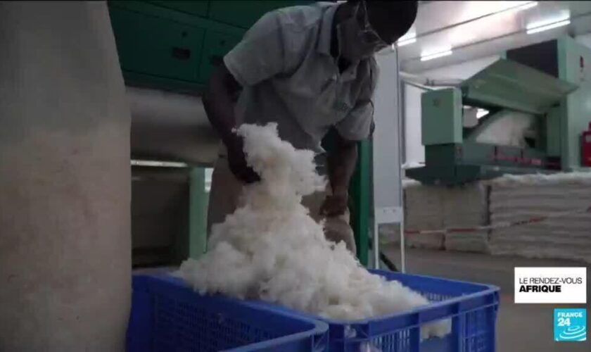 Au Bénin, les investisseurs attirés par un marché du coton en pleine expansion