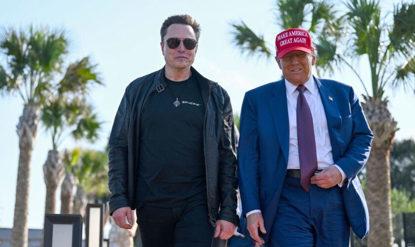 Elon Musk und Donald Trump gehen nebeneinander