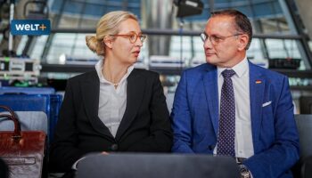 Wehrpflicht und „Dexit“ – Wo die AfD-Mitglieder Chrupalla widersprechen