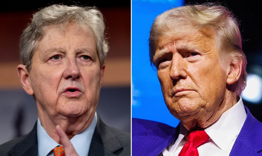 Sen. Kennedy calls on Trump to step in on spending bill showdown: 'One person' who can unite GOP