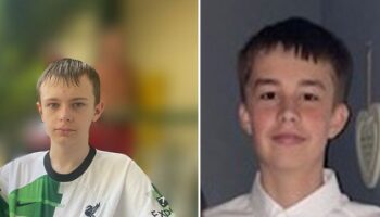 Teens jailed for hacking two boys to death after hunting them 'like a five-a-side team'