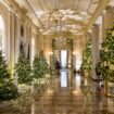 The history of White House Christmas trees, including Theodore Roosevelt's 'ban' of the holiday tradition