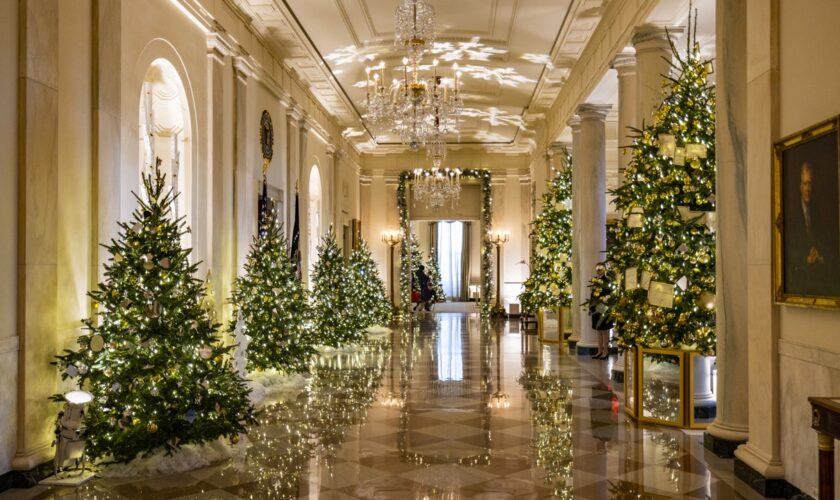 The history of White House Christmas trees, including Theodore Roosevelt's 'ban' of the holiday tradition